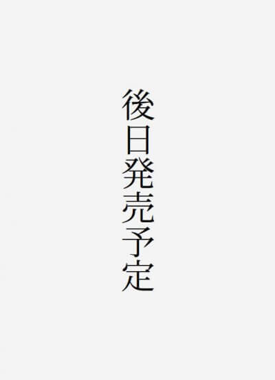 松の廊下でつかまえて 白蔵盈太